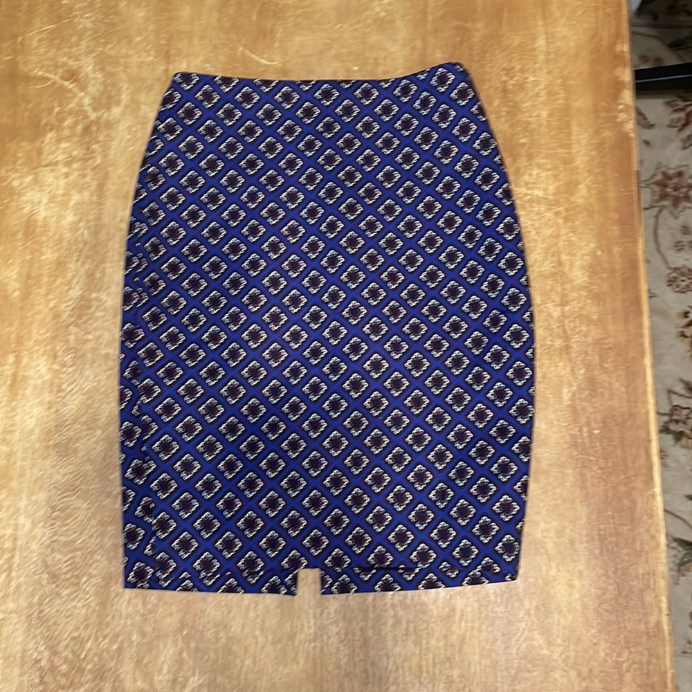 Express Pencil Skirt